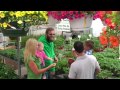 Nanticoke Gardens Time To Plant Commercial