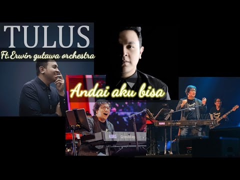 Andai aku bisa#Tulus ft. Erwin gutawa orchestra#tulus#Erwin gutawa#trending