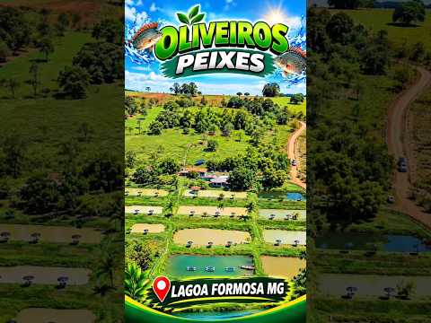 Oliveira peixes, município de Lagoa Formosa MG