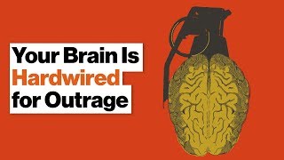 Why Your Brain Loves Feeling Outraged and Punishing People's Bad Behavior | Molly Crockett