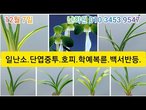 유튜브 썸네일