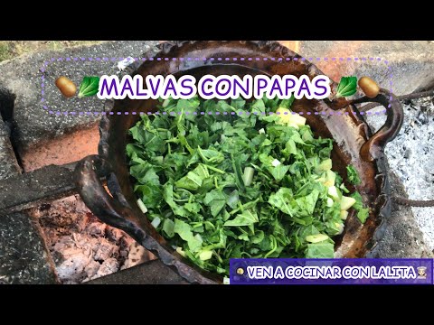 🏡MALVAS CON PAPÁS RECETA DE LA ABUELA TERESITA.🏡