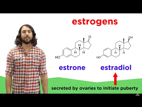 Lipids Part 2: Steroids