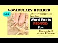 Word Roots Prefixes And Suffixes PED POD And Other Derived Words Vocabulary TV