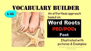 Word Roots: PED/ POD and derived words illustrated (Vocabulary L-35)