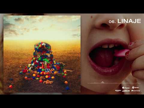 06 - YSY A - Linaje | ANTEZANA 247