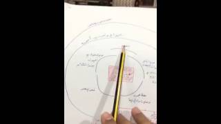 أسوار الشريعة حول خطر الزنا