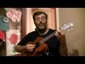Seems So - Ukulele Cover - Apples in Stereo