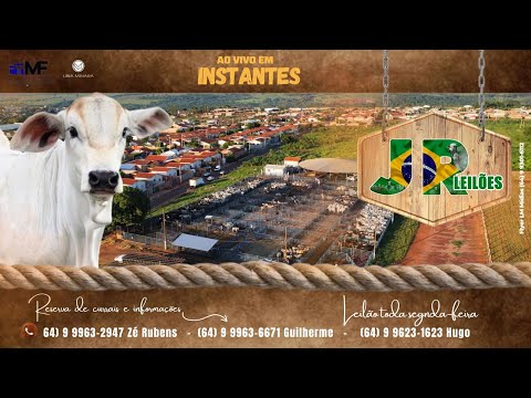 294° LEILÃO AO VIVO DA JR LEILÕES - 28/09/2026