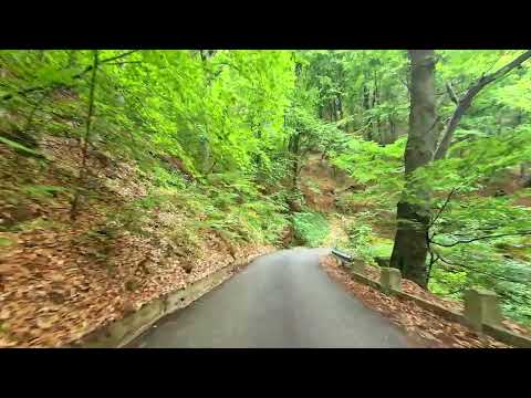 "Drumul Eroilor" Măgura Ocnei Bacău România