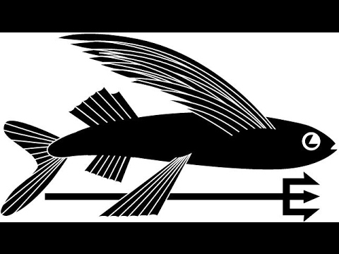 S/V SeaSprite's Big Adventure - Staging for a Crossing