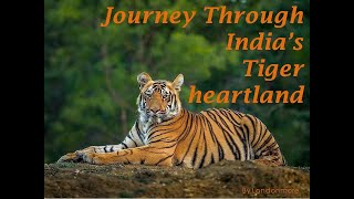 Journey Through India's Tiger heartland