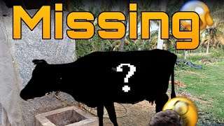 Download lagu Cow missing ಯಾಪಾ ನಮ್ ಹಾಸು ಕಾಣೆ ಯಾಗಿದೆ || ಕನ್ನಡ ❤️🩹 mp3 Download lagu Cow missing ಯಾಪಾ ನಮ್ ಹಾಸು ಕಾಣೆ ಯಾಗಿದೆ || ಕನ್ನಡ ❤️🩹 mp3