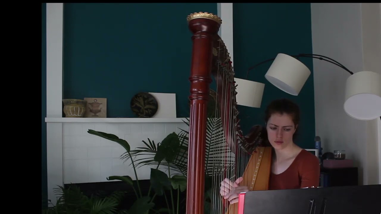 Promotional video thumbnail 4 for Hummingbird Harmonies
