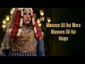 Masoom Dil Hain Mera Lyrics Heeramandi Lyrics Netflix Heeramandi