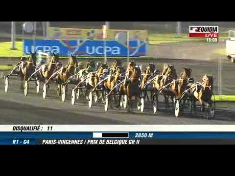 Prix de Belgique - Ready Cash battu par Royal Dream - Equidia Live