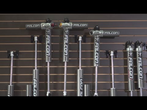 Falcon Shock Review