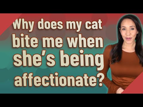 Why does my cat bite me when she's being affectionate?