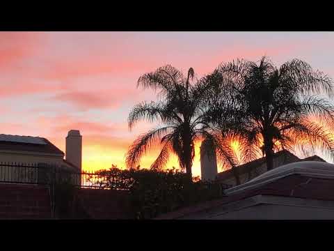 L6o - Vice City (Unreleased)