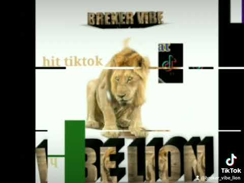 remix matimba🦁hit tiktok❌breker vibe🦁