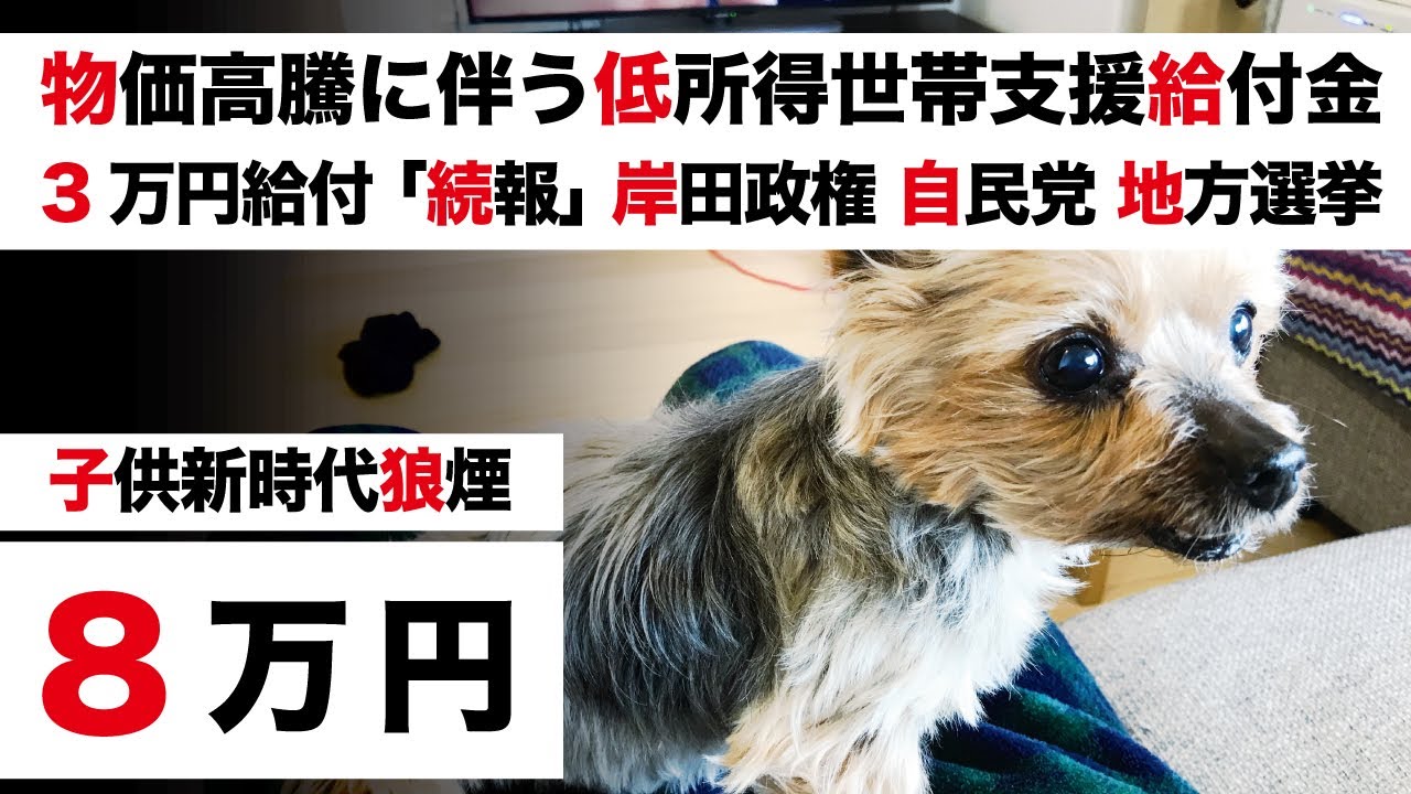 【物価高騰に伴う低所得世帯支援給付金 3万円＋特別給付金5万円+子供新時代】低所得者への現金給付「続報」岸田政権 自民党 統一地方選挙「増税祭り」【住民税非課税世帯 生活保護】