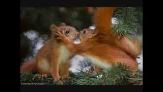 Larry Graham &amp; Graham Central Station - Mr  Friend