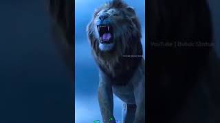 Download lagu Mera Mola Haider Haider #trendingshorts #haider #alimola #meramolaali mp3