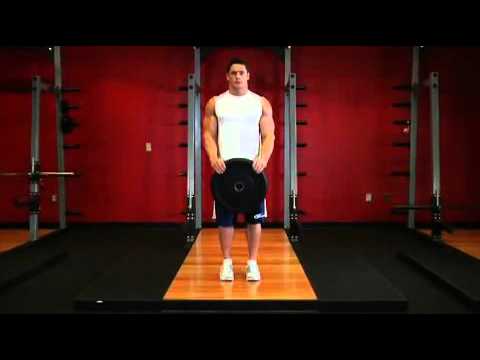 Biceps   Reverse Plate Curls   Exercises Guide!   Live Health Club