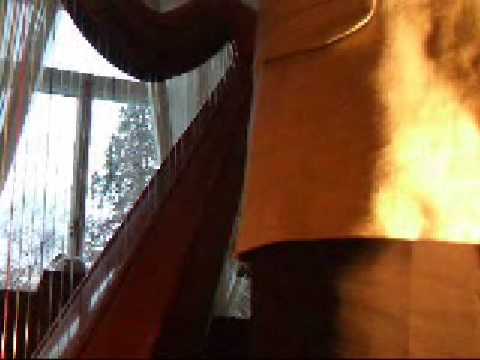 Professor David Watkins talks about the history of the harp