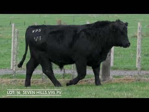 Lot 16  SEVEN HILLS V95 PV