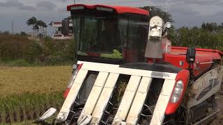 久保田DR120割稻機 新竹湖口爛田收割a