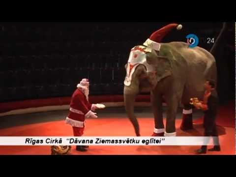 Rīgas Cirkā  "Dāvana Ziemassvētku eglītei"