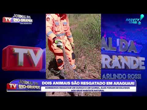 Animais silvestres são resgatados em Araguari