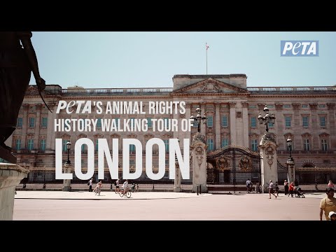 PETA's Animal Rights History Walking Tour of London