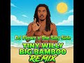 DJ Flowz x The Silly Side - Tiny Willy Big Bamboo Remix