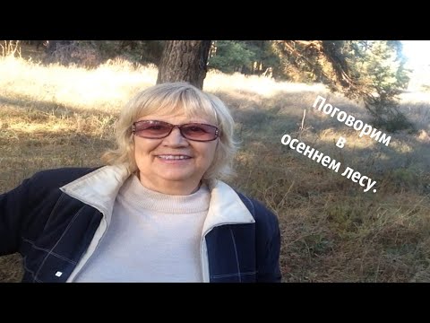 Гуляю в лесу и рассуждаю.