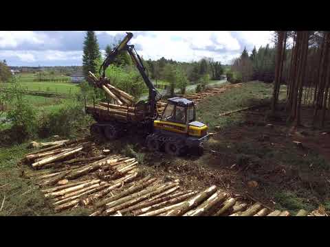 download lagu mp3 mp4 Foresty, download lagu Foresty gratis, unduh video klip Foresty