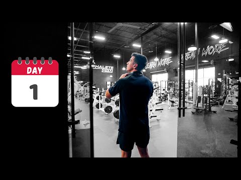 If It Was My First Day at The Gym This Is What I Would Do...