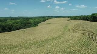 Kee Family Land Auction- Tract 4 Drone