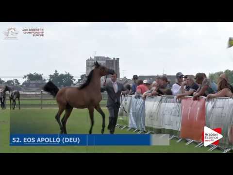 Chantilly 2016 ABCE - CLASS 6A