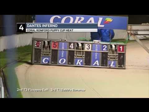 2018 ROMFORD PUPPY CUP - HEAT 1 - T4 DANTES INFERNO