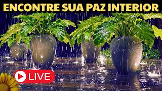 🔴CHUVA para uma Noite de TRANQUILIDADE, SONO e DESCANSO🌧️💤