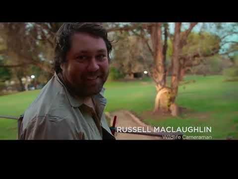 The year earth changed