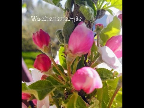 Wochenenergie  26.April bis 02.Mai 2021