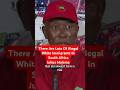 There Are Lots Of Illegal White Immigrants In South Africa Julius Malema