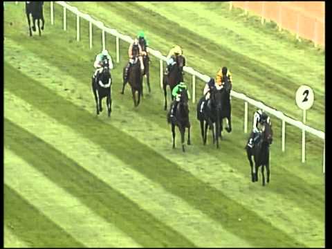 Frankfurt, www.german-tote.de-Rennen, 18.11.2012 - Sieger: Chopin