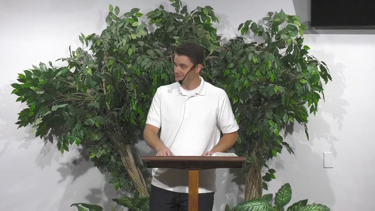 Romans 8 - Phil W