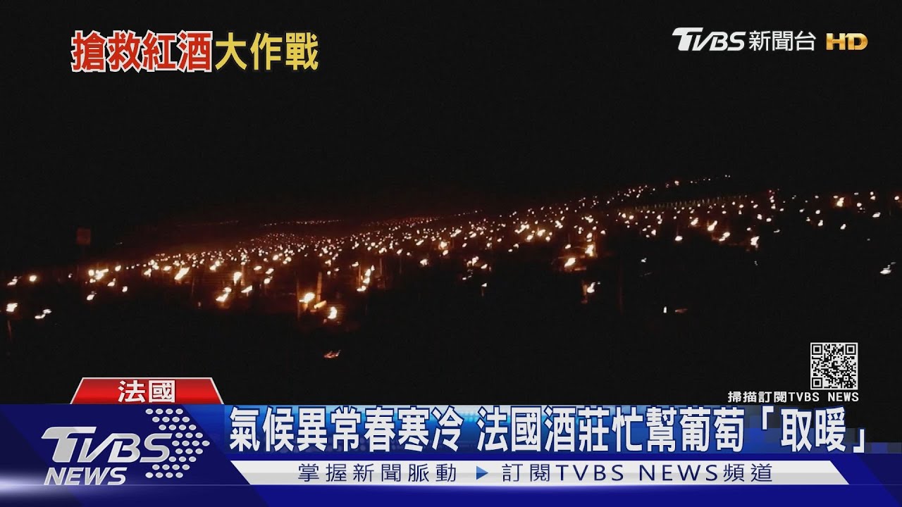 氣候異常春寒冷 法國酒莊忙幫葡萄「取暖」