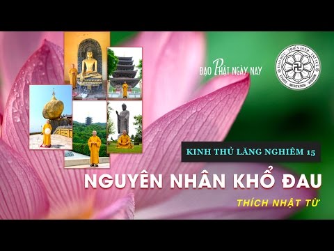 Kinh Thủ Lăng Nghiêm 15 (2013): Nguyên nhân khổ đau
