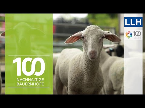 Alte Hofstelle, neue Ideen: Handwerk und Haltung | Projekt 100 nachhaltige Bauernhöfe